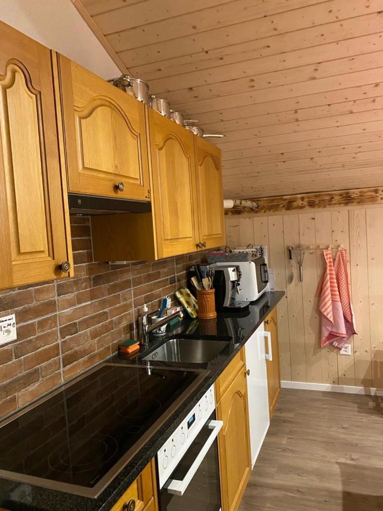 Chalet Baergstaeger Lauterbrunnen Εξωτερικό φωτογραφία