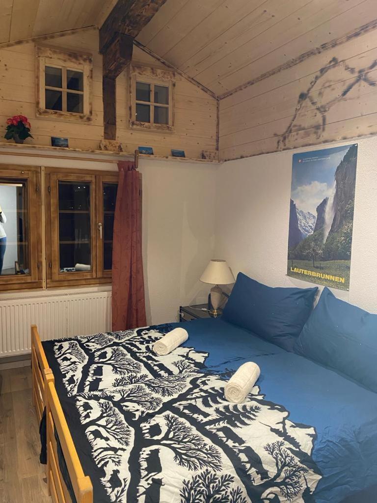 Chalet Baergstaeger Lauterbrunnen Εξωτερικό φωτογραφία
